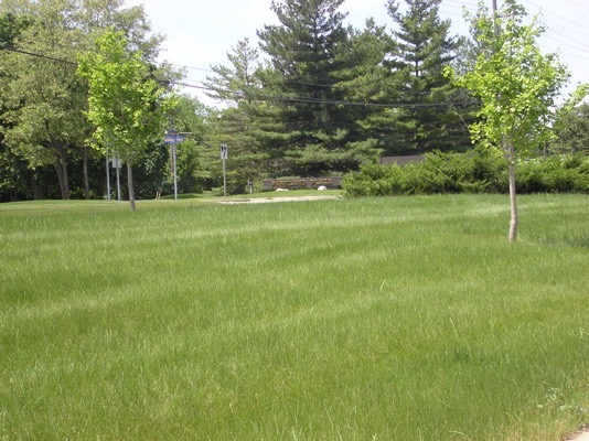 The is the signage for Parkland Plaza (not so easy to spot), just over a half mile past Wagner road.